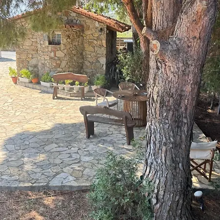 Odymar Vila *